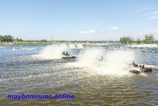 Máy sục khí oxy